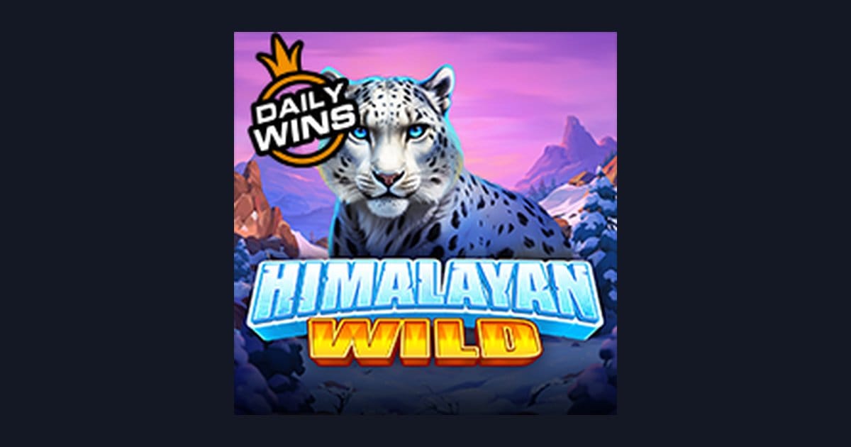 Menelusuri RTP Live Tertinggi dan Keunikan Slot Himalayan Wild dari Pragmatic Play